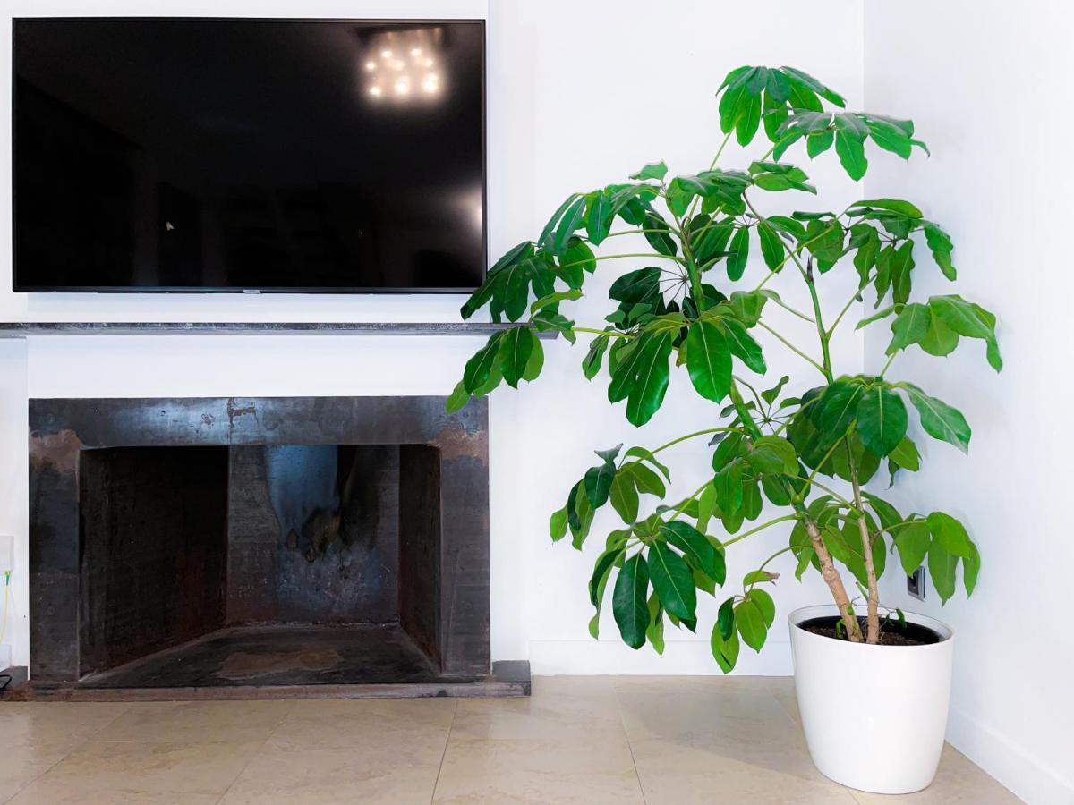Villa Haygon Private Heated Pool, Bbq & Sauna San Vicente Raspeig Zewnętrze zdjęcie